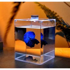 台灣製 高光亮 桌面小型水族景觀懶人缸組, 1個, 透明壓克力單格鬥魚缸 9*10*14.5,鬥魚缸(含蓋)不含led燈