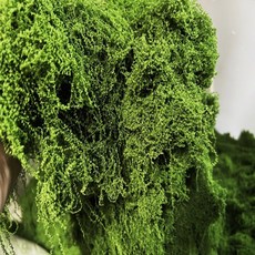臺灣熱銷 仿真苔蘚草坪綠化景觀青苔草皮水陸缸鋪麵植物牆永生水苔盆景盆栽, 團狀 按重量一斤價格 深綠色, 1個