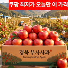 [최저가행사] 당도선별 벌꿀맛 경북 부사사과, 1박스, 1kg 가정용