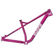 DA BOMB SENTINEL 29er Boost ENDURO 硬尾車 登山車, 紫色, 紫色