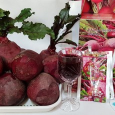 고창 황토밭의 레드비트즙, 100개, 100ml