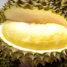 태국 생 두리안 깐두리안, 1개, 생 두리안 500g