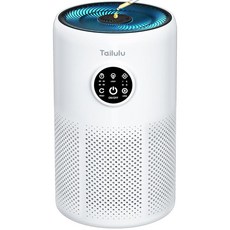 Tailulu D10 교체 필터 공기 청정기용 청정기 3-in-1 H13 등급 트루 필터 1팩 추가 아로마 패드 6개 포함, 화이트