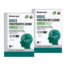 포스파티딜세린 징코 800 고함량 300mg 은행잎추출물 인지질 영양제, 2개