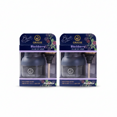 그라스 블루 차량용방향제 100ml 2개, 블랙베리향