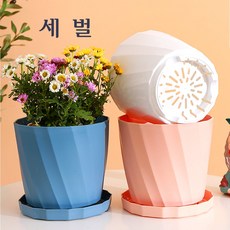 아이디어 플라스틱 화분+베이스16.8*15.5*13cm, 15세트