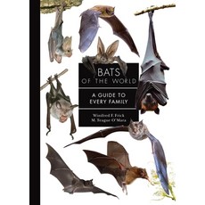 (영문도서)Bats of the World: A Guide to Every Family Hardcover, Princeton University Press, English, 9780691265216