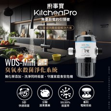 廚事寶 KitchenPro WDS-Mini 臭氧水殺菌淨化系統 (99.99%殺菌率)