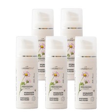 Manufaktura 마뉴팍트라 데이지 수분크림 50ml 5개