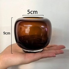 水培器皿 玻璃花瓶 水養植物擺件 透明插花容器, 蒼穹迷你款（咖色）