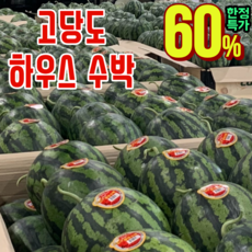 [한정특가] 14Brix 고당도 꿀 수박 농가직송 하우스수박, 1개, 4kg(내외)