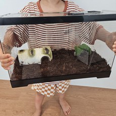 습도관리 달팽이 도둑게 소라게 사육장 케이지, 1개, 특대형(39.5X20.5X23cm)+습도계