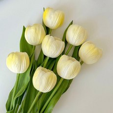 仿真鬱金香擺件 房間裝飾, 仙女推薦胖嘟嘟鬱香金五支奶油黃款, 1個