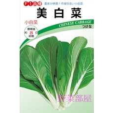 【野菜部屋】美白菜種子 耐熱性 葉肉厚 外型佳 約25日可採收, 1包