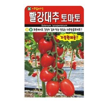 아람종묘 빨강대추 토마토 씨앗 30p, 5개