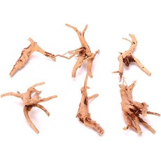 라브리콘 1Pc 천연 수족관 표류목 가지 나무 수족관 줄기 표류목 나무 어항 통나무 장식 식물 그루터기 다양한 크기(8-10cm) 장식품 장식 테마 장식품 애완동물 용품, Jowxsx 1Pc 천연 수족관 표류목 가지 나무 줄기