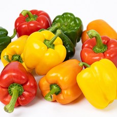 갓 수확한 아삭달큰 파프리카 특상품 [JCK], 1박스, 파프리카 컬러 랜덤 2kg