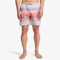 보드라이더스 빌라봉 남성 SUNDAYS 17인치 보드숏 (AG11BS077SZT)_CA