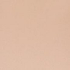 choya culture 多彩簡約文件夾，辦公室文件整理必備，多色可選, 奶茶, 1個