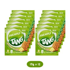 필리핀 tang 탕 음료 분말 가루 5종류 오렌지 망고 파인애플 깔라만시 등, 12개, 19g, 1개입