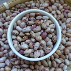 국내산 햇강낭콩 유월 토종 강낭콩 경북 상주 산지직송 얼룩이콩 양대콩 호랑이콩 유월콩, 1개, 3kg