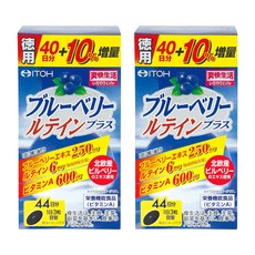 블루베리 서플리먼트【블루베리 루테인 플러스 약 44일분 300mgX132정】 ×2개, 2개, 132정