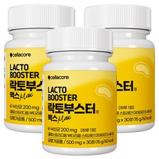 낙산균 40% 함유 셀라코어 락토부스터 맥스 500mg 낙산균 유산균 프로바이오틱스, 3박스, 30정