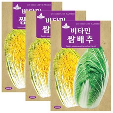 세인화분 비타민 쌈배추 1000립 - 국산 배추 씨 씨앗, 3개