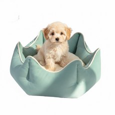 윈클로파우 댕냥이 포근한 강아지 쿠션침대, 1개, 그린