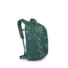 오스프리 데이라이트 플러스 20L 백팩 블랙, 퍼지 윈도우 프린트-토렌트 블루
