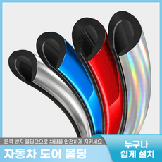 플러스리빙 변색없는 자동차 스크래치 문콕 방지 몰딩 도어가드 메탈칼라, 1개, 메탈레드