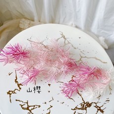 大地農園 蓬萊松, 山櫻（偏桃粉色