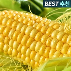 [산지직송할인] 특품 초당 옥수수 고당도보장, 5개, 상품
