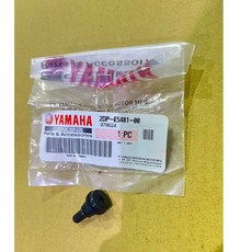 YAMAHA XMAX 傳動外蓋螺絲, 1個
