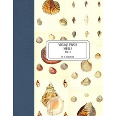 (영문도서) Vintage Prints: Shells: Vol. 3 Paperback, Createspace Independent Pub..., English, 9781727184266
