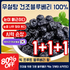 1+1+1 건조 블루베리 프리미엄 건조 블루베리 무설탕 무설탕 건조블루베리 100% 건강하고 맛있는, (1+1+1봉)