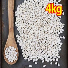 The큰나무 흰강낭콩 흰 강남콩 키드니빈 네이비빈, 1개