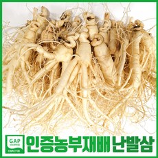 [GAP 인증 인삼] 농부가 직접 드리는 6년근-5년근 못난이 인삼(난발삼) 무료세척 예쁜 정품수삼 파삼 홍삼액달임오쿠 인삼튀김 삼계탕 인삼라떼(믹서) 인삼주, 720g, 1개, 세척함, 1.콩콩난(720g,35뿌리내외)