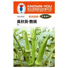 KNOWN-YOU 豔嬌黃秋葵種子 家庭園藝 特選種子 台灣種植, 1個