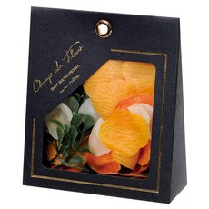 노르코퍼레이션 바스페탈 샹드 플룰 언레이브 OB-EGN-2-4 입욕제 오렌지 12g, 1