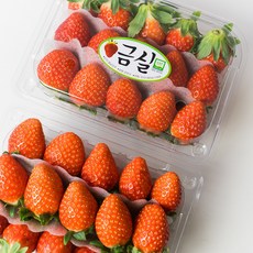 [한정특가 50박스] 프리미엄 금실딸기 스테비아급 고당도 생딸기, 1개, 350g / 20~24과