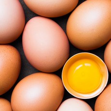 산란 출고 무항생제 인증 유정란 HACCP 프리미엄 계란, 1개, 15구