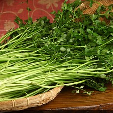 [전남생협] 농협 논 미나리 200g 개별포장(선택 5개 10개)