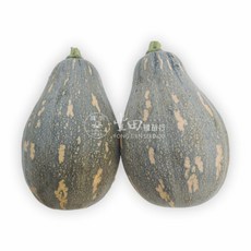 【野菜部屋~】金華木瓜型南瓜種子 喜溫暖氣候 排水良好之砂質土壤為佳, 1包