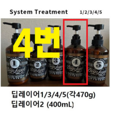 딥레이어 시스템 트리트먼트 1 2 3 4 5 본체 (옵션확인), 1개, 4R