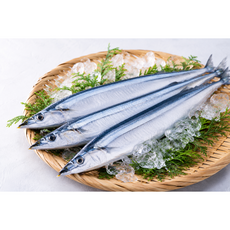 손질 생물 꽁치 1kg 7미 내외 손질후 700-800g 내외 제철 생선 구이용 조림용 원양산 꽁치 별미, 1개, 손질 꽁치 1kg(7미 내외)