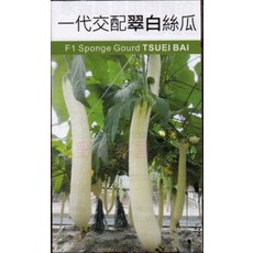 【野菜部屋~】K46 F1 翠白絲瓜種子, 1包