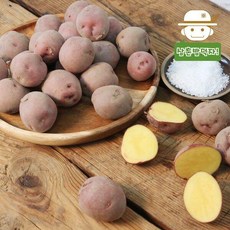 [삼촌밥먹자][함안직송] 속노란 홍감자 카스테라감자(소중) 3kg, 매장정품 삼촌밥먹자 [함안직송] 속노란 홍감자 카스테라