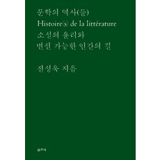 GalmuriPublishing 文學的歷史(們)：小說的倫理與可變身的人類之路, 全成旭 著