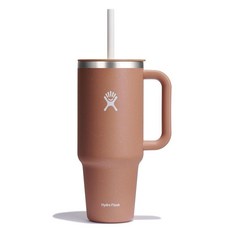 하이드로 플라스크 올어라운드 트래블 텀블러 946ml 피르 그린, 40 Oz, Sandy